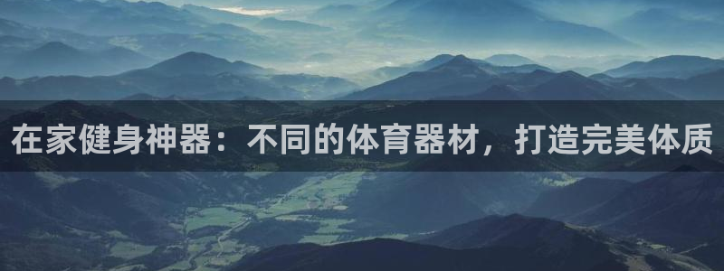 星欧娱乐扣款流程详解图：在家健身神器：不同的体育器材