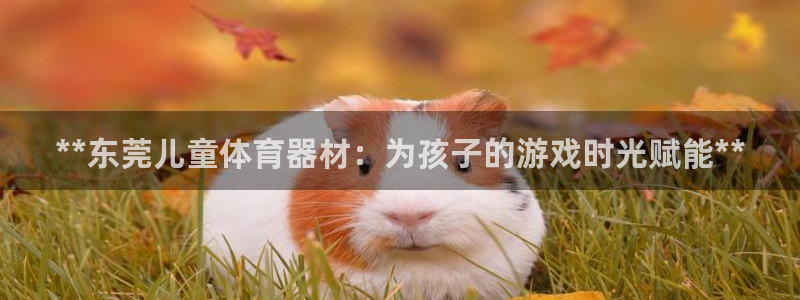 星欧娱乐最建议买的三个产品有哪些呢：**东莞儿童体育