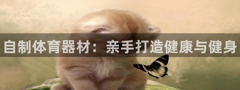 星欧娱乐扣钱步骤详解：自制体育器材：亲手打造健康与健