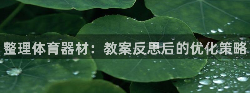 星欧娱乐最建议买的三个产品是什么意思：整理体育器材：