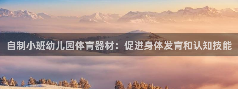 星欧娱乐官方客服联系方式是什么：自制小班幼儿园体育器