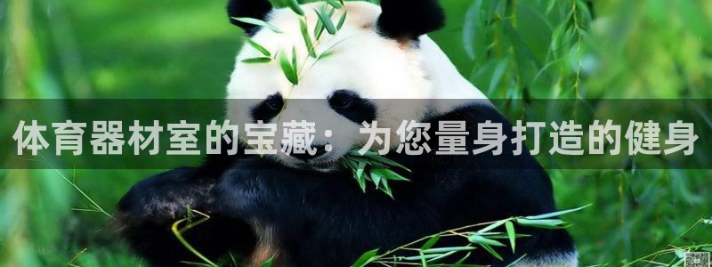 星欧娱乐平台怎么样可靠吗知乎：体育器材室的宝藏：为您