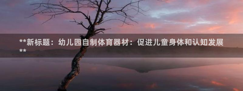 星欧娱乐会员优惠活动：**新标题：幼儿园自制体育器材