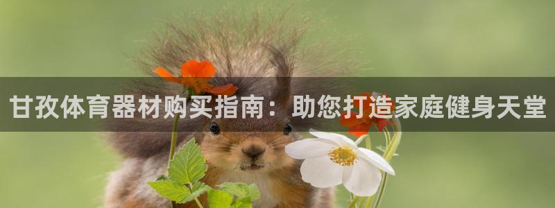 星欧娱乐最建议买的三个产品有哪些：甘孜体育器材购买指
