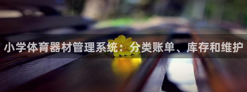 星奥娱乐艺人：小学体育器材管理系统：分类账单、库存和