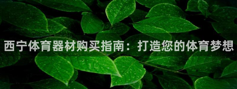星欧娱乐公司创始人背景故事简介：西宁体育器材购买指南
