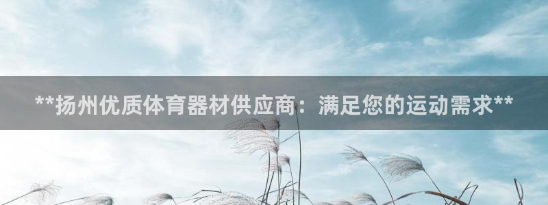 星欧娱乐的官方版本更新内容有哪些：**扬州优质体育器