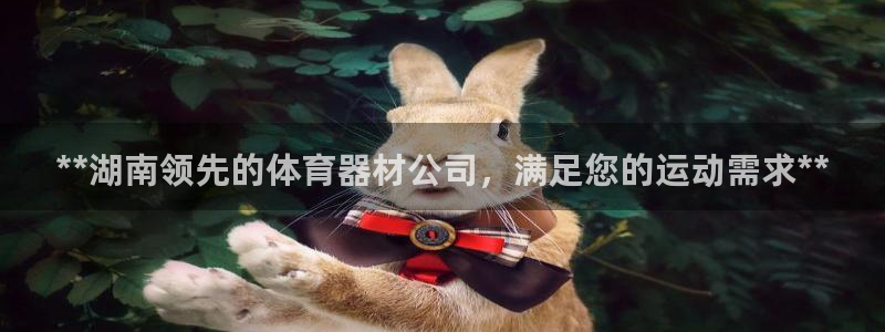 江苏星奥娱乐有限公司：**湖南领先的体育器材公司，满