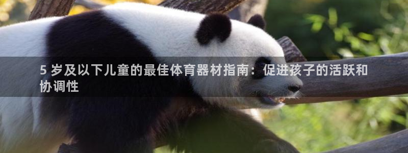 星欧娱乐是正规平台吗安全吗：5 岁及以下儿童的最佳体