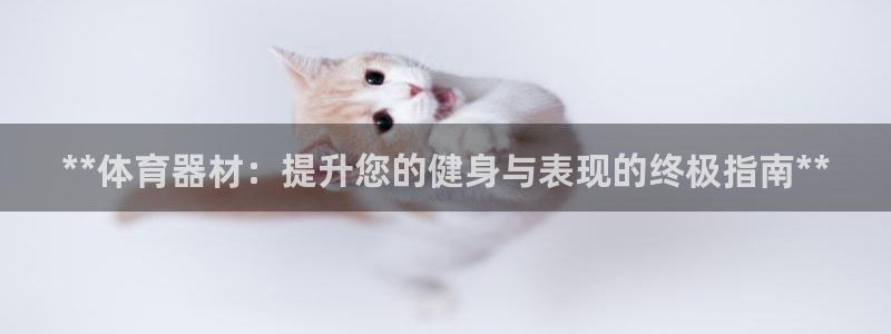 星娱乐online刘亦菲：**体育器材：提升您的健身