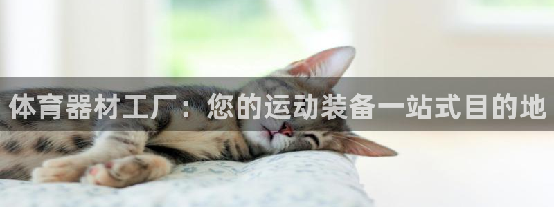 星欧娱乐平台怎么样可靠吗知乎：体育器材工厂：您的运动