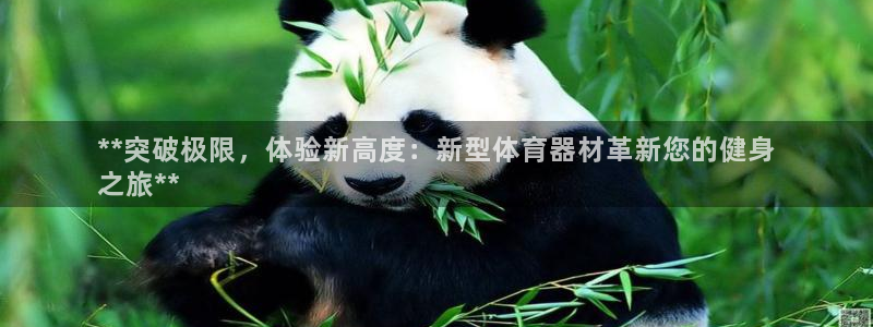 星娱乐online：**突破极限，体验新高度：新型体