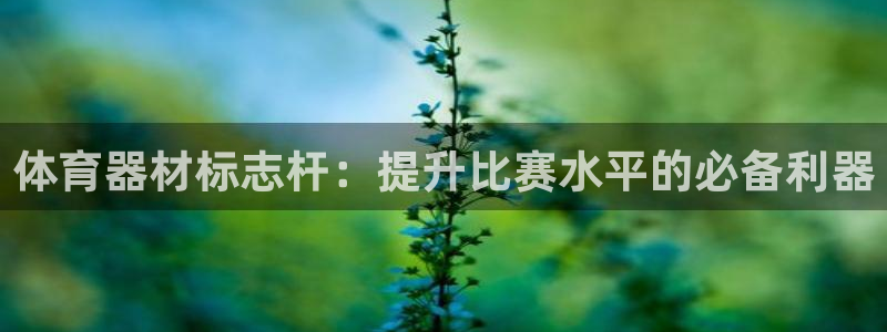 星欧娱乐平台怎么样可靠吗：体育器材标志杆：提升比赛水