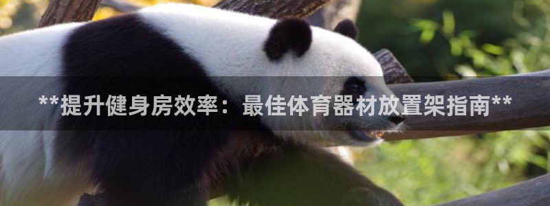 星欧娱乐平台怎么样啊可靠吗：**提升健身房效率：最佳