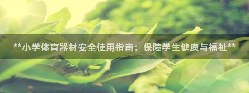 澳星国际娱乐集团：**小学体育器材安全使用指南：保障