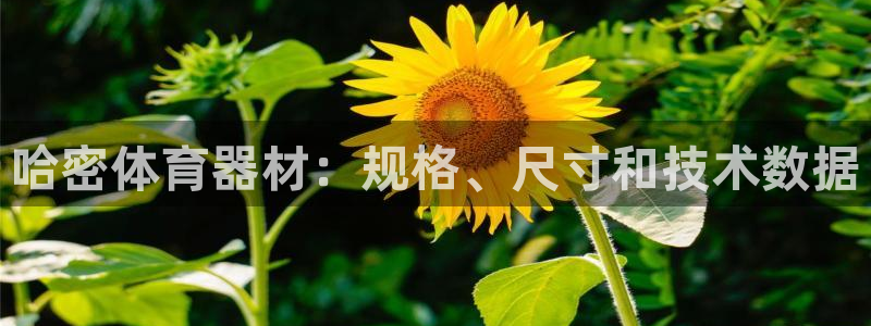 星游娱乐1官网下载：哈密体育器材：规格、尺寸和技术数