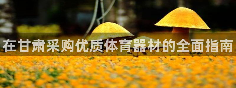 星欧娱乐是正规平台吗知乎：在甘肃采购优质体育器材的全
