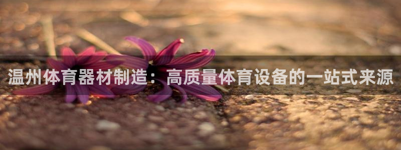 星欧娱乐总代.直开.中国：温州体育器材制造：高质量体