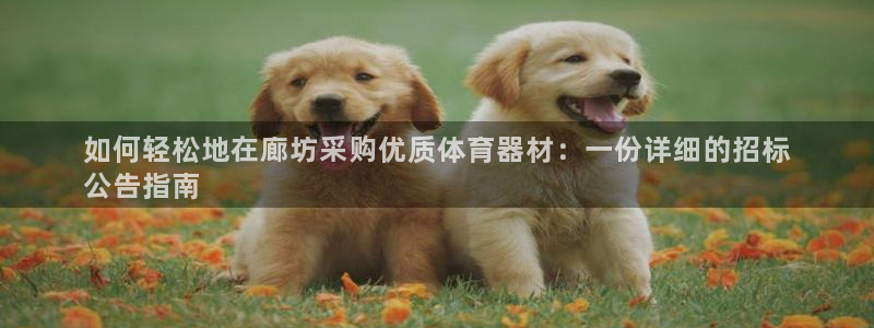 星欧娱乐最建议买的三个产品有哪些呢：如何轻松地在廊坊