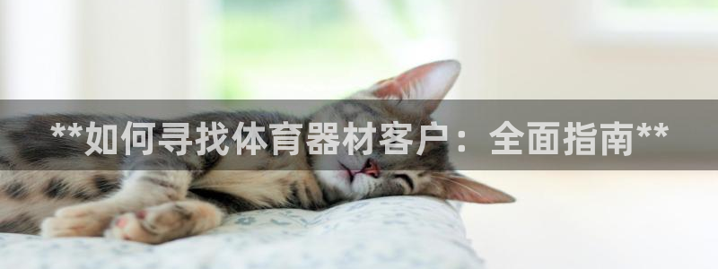 永韬星娱乐：**如何寻找体育器材客户：全面指南**
