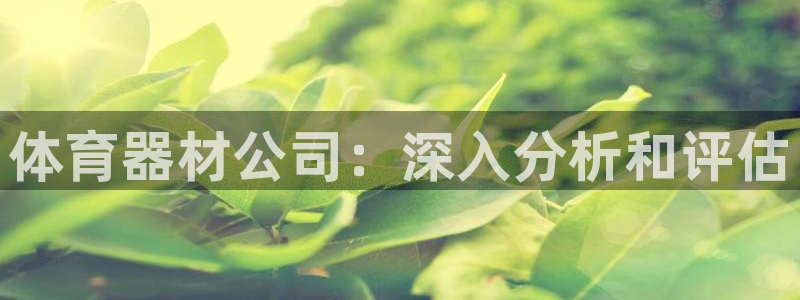 星欧娱乐是正规品牌吗：体育器材公司：深入分析和评估