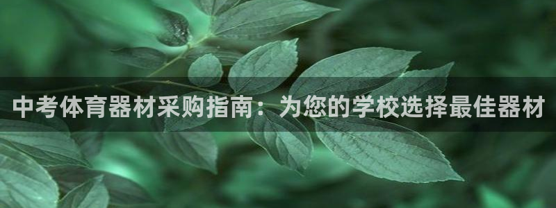 星欧娱乐最建议买的三个产品有哪些呢：中考体育器材采购