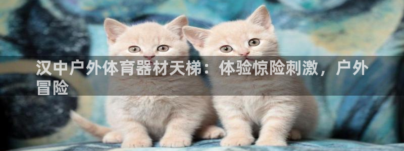 星乐娱乐：汉中户外体育器材天梯：体验惊险刺激，户外
