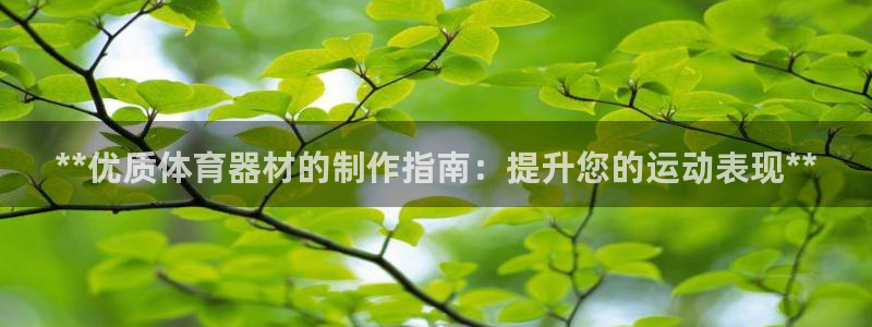 星欧娱乐方7O777：**优质体育器材的制作指南：提升您的运