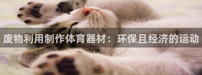 星娱乐彩票网：废物利用制作体育器材：环保且经济的运动