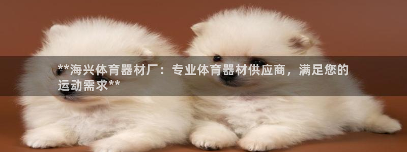 星奥娱乐集团股份有限公司：**海兴体育器材厂：专业体育器材供