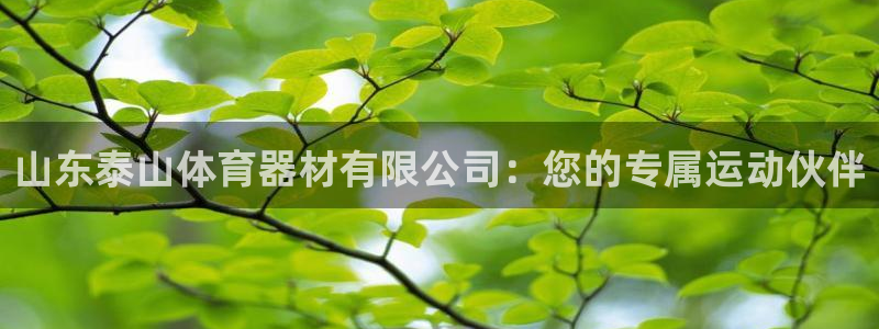 星欧娱乐是正规品牌吗