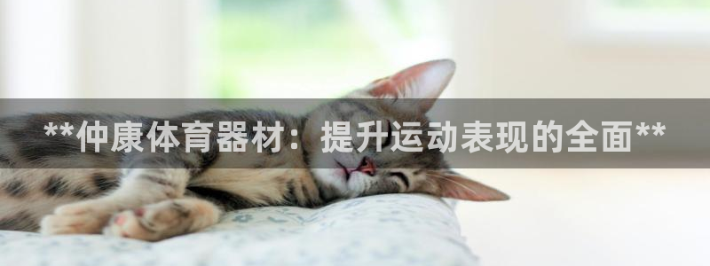 星欧娱乐官方客服联系方式：**仲康体育器材：提升运动表现的全