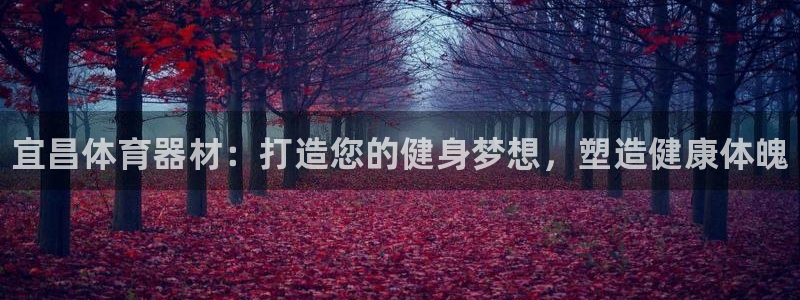 新星娱乐怎么开挂：宜昌体育器材：打造您的健身梦想，塑造健康体