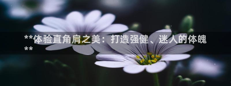 星欧娱乐属于什么档次的公司：**体验直角肩之美：打造