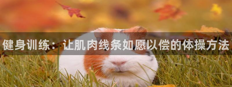 星欧娱乐公司电话号码多少