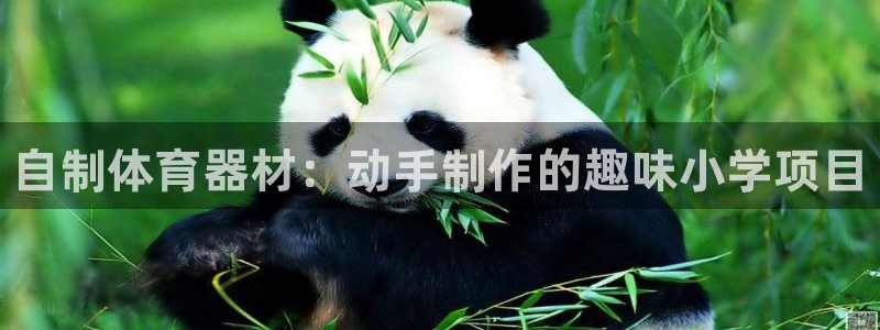 江苏星奥娱乐有限公司怎么样：自制体育器材：动手制作的趣味小学