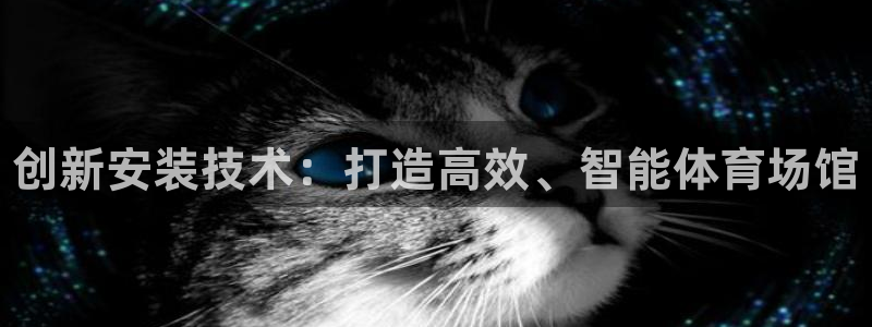 星欧娱乐的官方版本更新内容