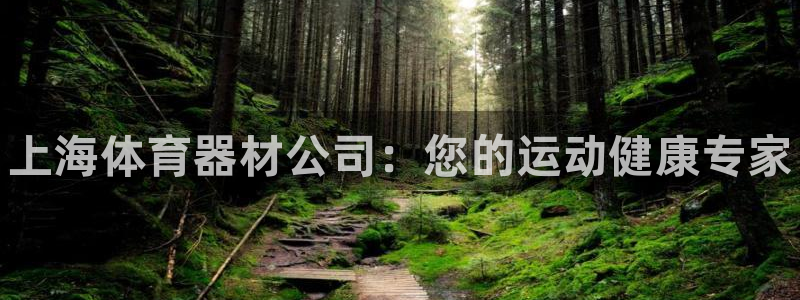 星欧娱乐扣款流程详解视频教程：上海体育器材公司：您的运动健康