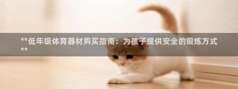 星欧娱乐属于什么档次的公司：**低年级体育器材购买指南：为孩