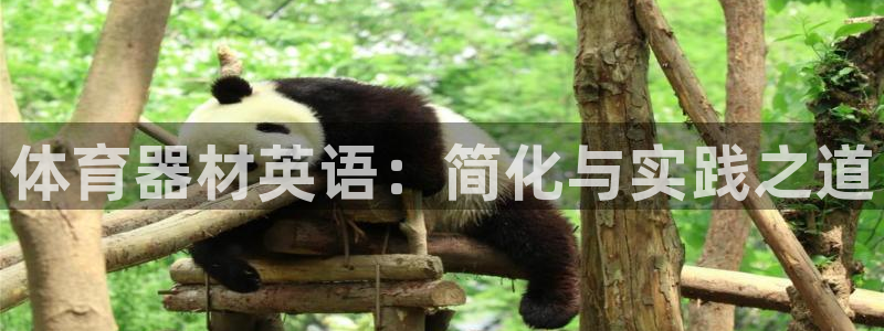 星欧娱乐联4.8.5.6.2.4.3下载