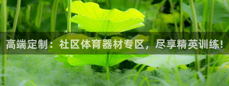 星欧娱乐平台都7O777：高端定制：社区体育器材专区，尽享精