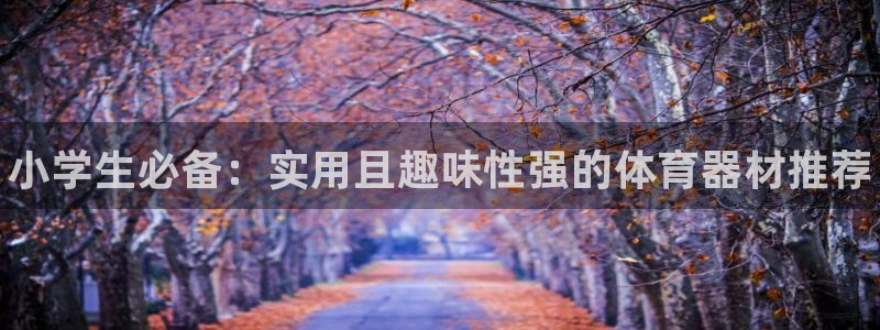 星欧娱乐工客服电话24小时人工服务：小学生必备：实用且趣味性