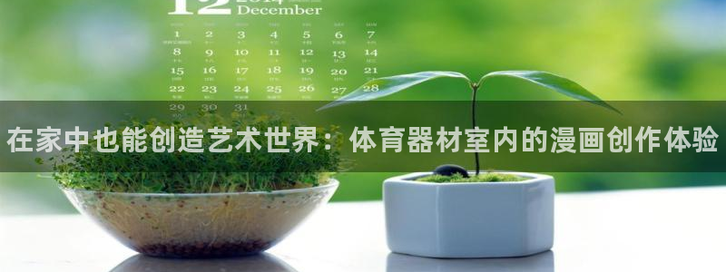 星欧娱乐测速软件下载：在家中也能创造艺术世界：体育器