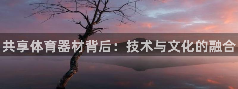 永韬星娱乐：共享体育器材背后：技术与文化的融合
