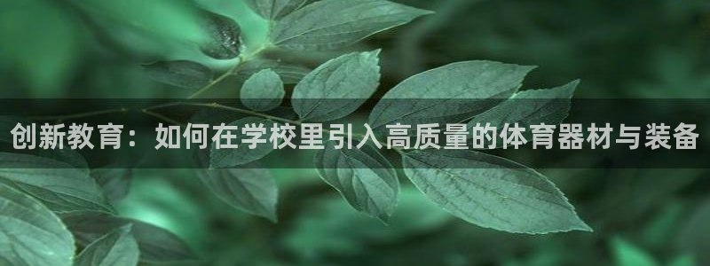 星欧娱乐联4.8.5.6.2.4.3下载：创新教育：如何在学