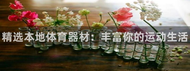 星欧娱乐的官方版本更新内容：精选本地体育器材：丰富你的运动生