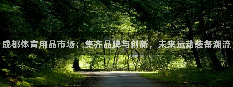 星欧娱乐最建议买的三个游戏账号：成都体育用品市场：集齐品牌与