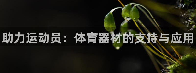 星欧娱乐扣款流程详解视频播放：助力运动员：体育器材的支持与应