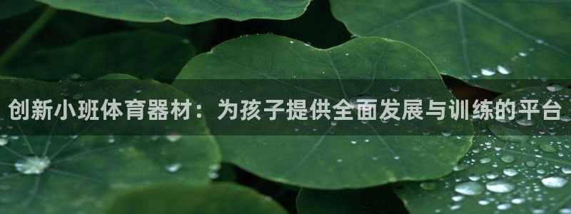 星欧娱乐最建议买的三个产品是什么呢：创新小班体育器材：为孩子