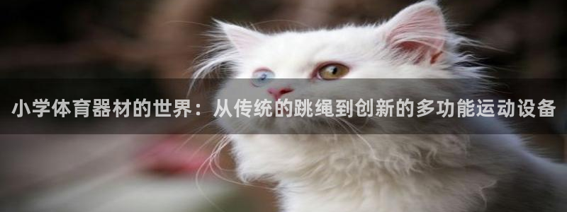 星欧娱乐平台怎么样可靠吗